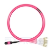 10m (33ft) MTP Female to 4 LC UPC Duplex 8 Fibers Type B LSZH OM4 (OM3) 50/125 Multimode Elite Breakout Cable, Magenta