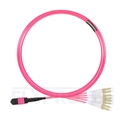 Picture of 5m (16ft) MTP Female to 4 LC UPC Duplex 8 Fibers Type B LSZH OM4 (OM3) 50/125 Multimode Elite Breakout Cable, Magenta