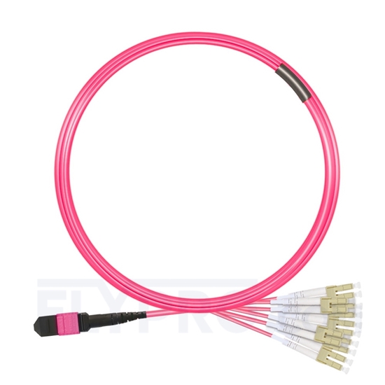 Bild von 5m (16ft) MTP Female to 6 LC UPC Duplex 12 Fibers Type A LSZH OM4 (OM3) 50/125 Multimode Elite Breakout Cable, Magenta