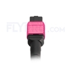 Bild von MTP Breakoutkabel, 5m (16ft) MTP Female auf 4 LC UPC Duplex 8 Fasern, Polarität B Plenum (OFNP) OM4 (OM3) 50/125 Multimode, Elite, Magenta