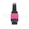 Bild von MTP Breakoutkabel, 5m (16ft) MTP Female auf 4 LC UPC Duplex 8 Fasern, Polarität B Plenum (OFNP) OM4 (OM3) 50/125 Multimode, Elite, Magenta