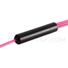 Bild von MTP Breakoutkabel, 5m (16ft) MTP Female auf 4 LC UPC Duplex 8 Fasern, Polarität B Plenum (OFNP) OM4 (OM3) 50/125 Multimode, Elite, Magenta