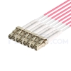Bild von MTP Breakoutkabel, 5m (16ft) MTP Female auf 4 LC UPC Duplex 8 Fasern, Polarität B Plenum (OFNP) OM4 (OM3) 50/125 Multimode, Elite, Magenta