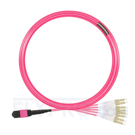 Image de 10m MTP Femelle vers 4 LC UPC Duplex 8 Fibres OM4 (OM3) 50/125 Câble Breakout Multimode, Type B, Élite, Plénum (OFNP), Magenta