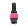 Picture of 3m (10ft) MTP Male to 6 LC UPC Duplex 12 Fibers Type A Plenum (OFNP) OM4 (OM3) 50/125 Multimode Elite Breakout Cable, Magenta