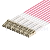 Picture of 3m (10ft) MTP Male to 6 LC UPC Duplex 12 Fibers Type A Plenum (OFNP) OM4 (OM3) 50/125 Multimode Elite Breakout Cable, Magenta