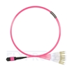 Picture of 2m (7ft) MTP Female to 4 LC UPC Duplex 8 Fibers Type B Plenum (OFNP) OM4 (OM3) 50/125 Multimode Elite Breakout Cable, Magenta