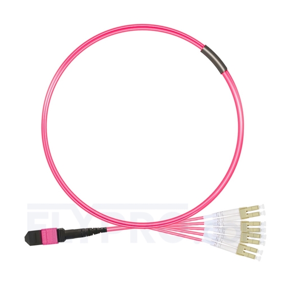 Picture of 2m (7ft) MTP Female to 4 LC UPC Duplex 8 Fibers Type B Plenum (OFNP) OM4 (OM3) 50/125 Multimode Elite Breakout Cable, Magenta