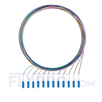 Image de 1m Pigtail à Fibre Optique à Code Couleur LC UPC 12 Fibres OS2 Monomode, Sans Gaine