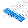 Image de 1m Pigtail à Fibre Optique à Code Couleur SC UPC 12 Fibres OS2 Monomode, Sans Gaine