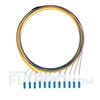 1.5m (5ft) LC UPC 12 Fibers OS2 Single Mode Bunch PVC (OFNR) 0.9mm Fiber Optic Pigtail