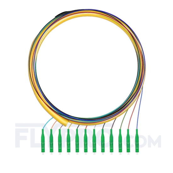 Bild von LWL-Pigtail LC, Bündel 12 Fasern LC APC, OS2 Singlemode - 0,9mm PVC (OFNR) 1,5m (5ft)