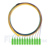 Bild von LWL-Pigtail SC, Bündel 12 Fasern SC APC, OS2 Singlemode - 0,9mm PVC (OFNR) 1,5m (5ft)