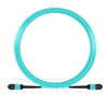 Bild von 15m (49ft) MPO Female 12 Fibers Type A LSZH OM3 50/125 Multimode Elite Trunk Cable, Aqua