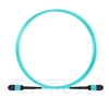 Picture of 1m (3ft) MPO Female 12 Fibers Type B LSZH OM3 50/125 Multimode Elite Trunk Cable, Aqua