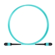 Picture for category MPO Fiber Cabling